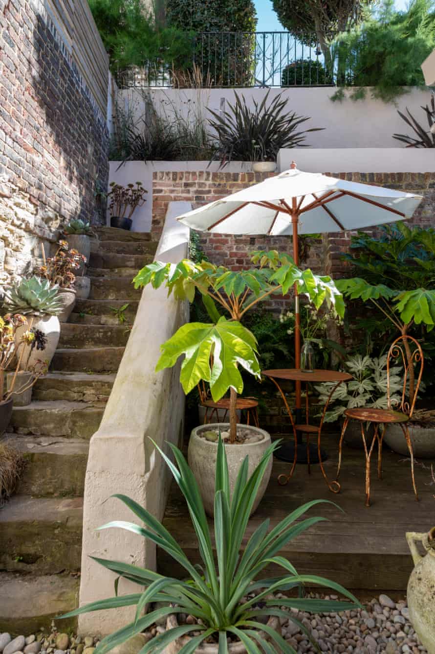 Shaded spot: the garden has been designed to reflect the wider landscape – the beach and the amazing green countryside that surrounds the town. Plants include succulents and phormiums, which thrive in the warmer seaside climate.