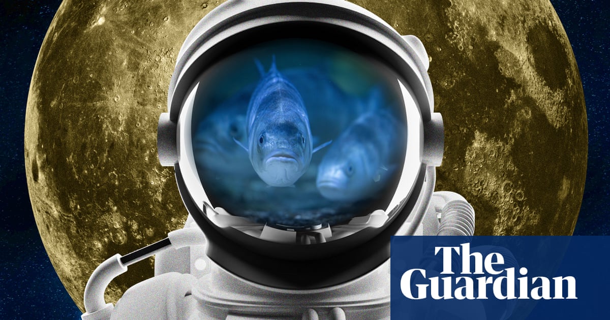 Sea bass in space: why fish farms on the moon may be closer than you think
