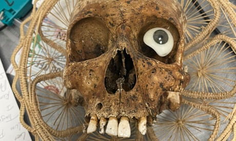 ‘An unusual one’: human skull found in Goodwill donation box in Arizona