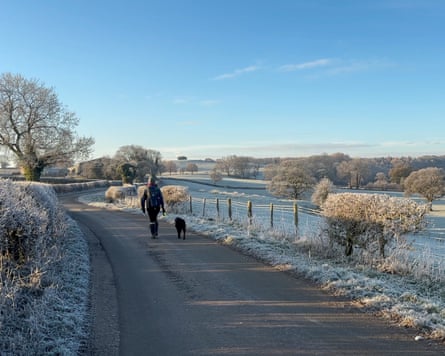 A frosty countryside road surrounded by icy landscapes, featuring a woman walking with their black labrador dog under a clear blue sky in Ripon, North Yorkshire, UK
