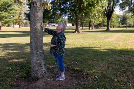 An older person touches a tree lovingly and gazes up at its branches
