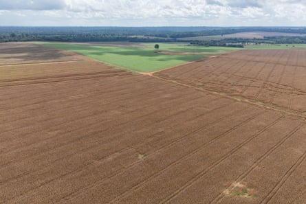 Enormous fields with forest in the distance.