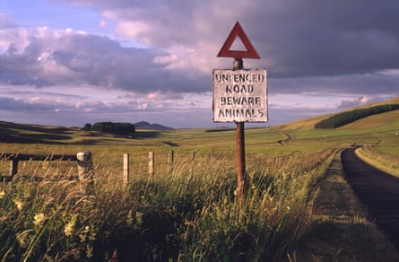 A landscape in Liddesdale, where Richard Skelton currently lives and works.
