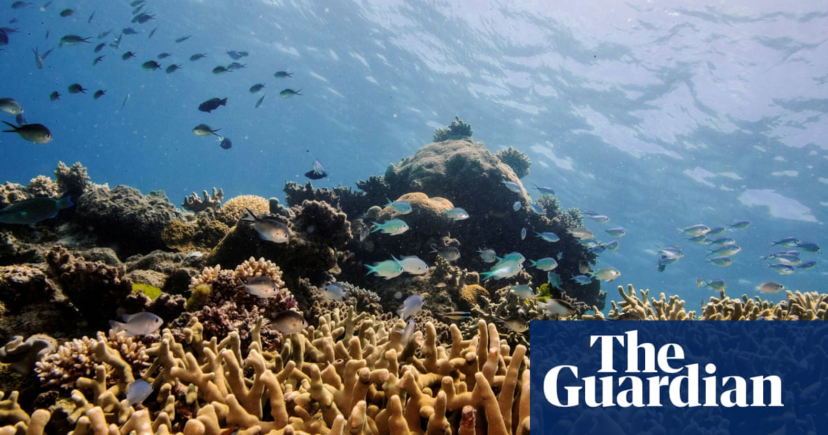 ‘Life support’ measures could buy Great Barrier Reef another two decades, study finds