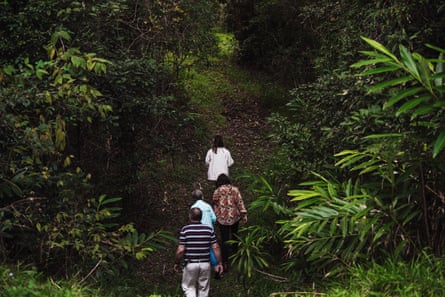A group of people walk through a lush green forest