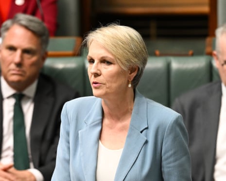 Tanya Plibersek in parliament on Wednesday