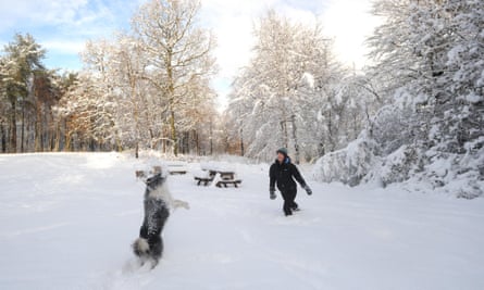 woman and dog in snow, Dalby Forest, North Yorkshire