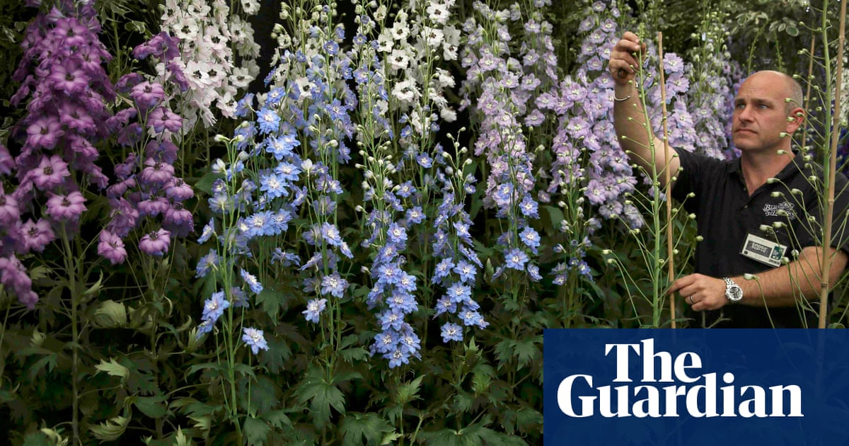 Chelsea flower show preview – in pictures | Life and style | The Guardian