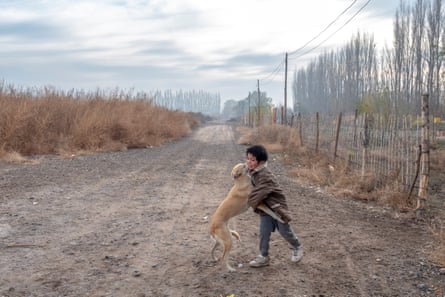 A young boy playing with a dog on a dirt track