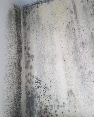 Mould inside the flat of Nazmu Miah and family.