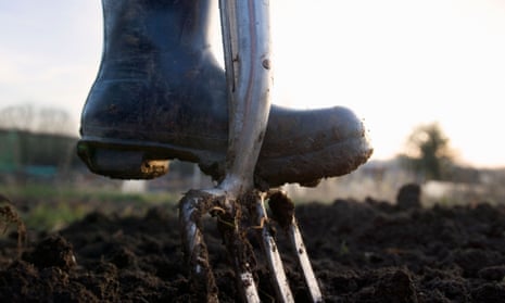 Digging Muscles Muscle strengthening lowers risk of death from all causes, study shows ...