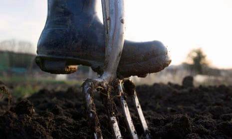 Foot in wellington boot on garden fork digging earth