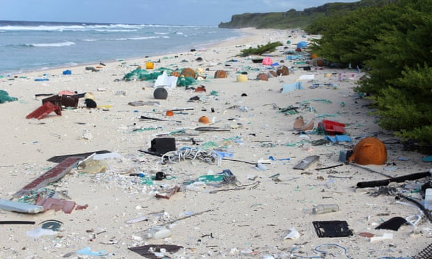 Plastic debris is strewn across the beach on Henderson Island