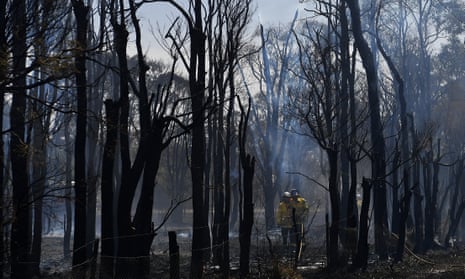 Bushfire in New South Wales, Australia