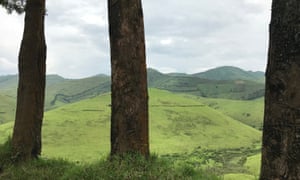 Green and fertile land in Democratic Republic of Congo.