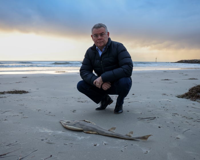 Minister to retain final say on controversial projects under Labor’s long-awaited nature laws