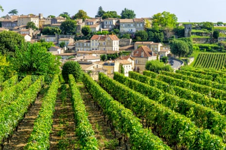 Αμπελώνες του Saint-Emilion στο Μπορντό.
