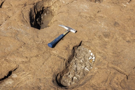 Footprints of Mylodon darwinii with a small palaeontologist’s pick-axe next to them