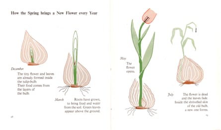 A spread from Marie Neurath’s book I Show You How It Happens.