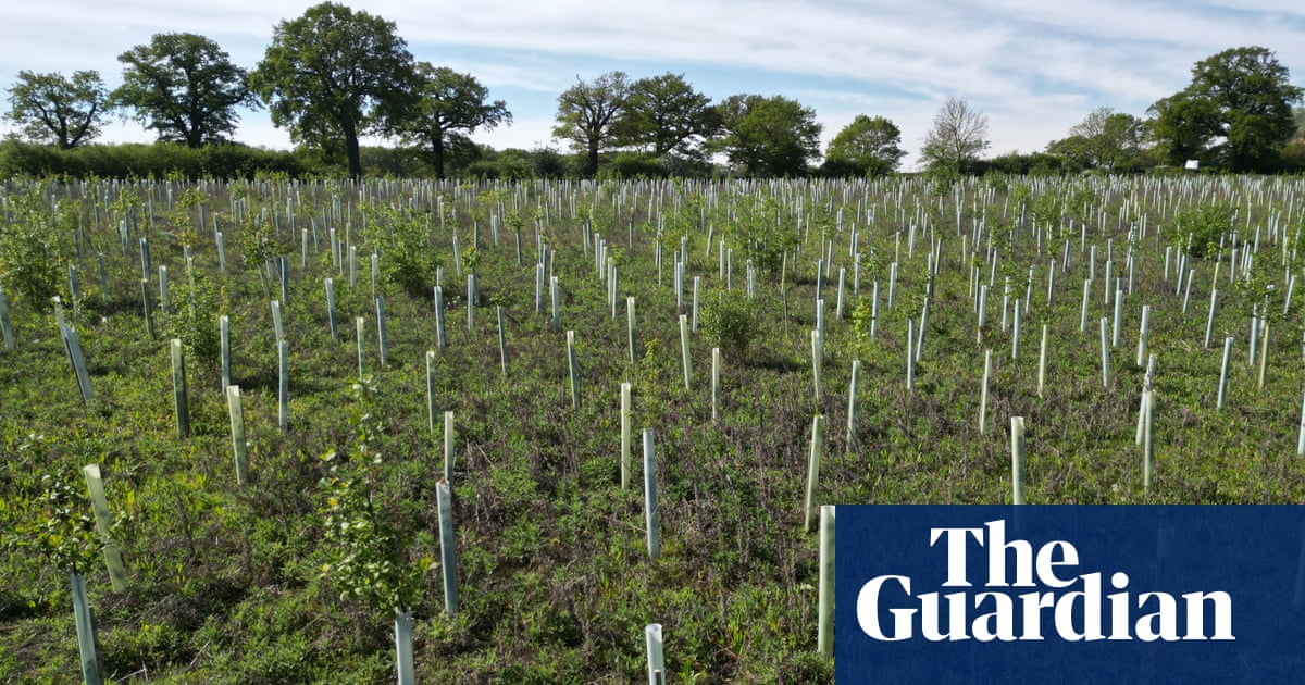 Plant diverse tree species to spread risk in climate crisis, study says