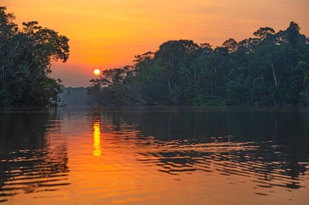 Sunset in Yasuni national park