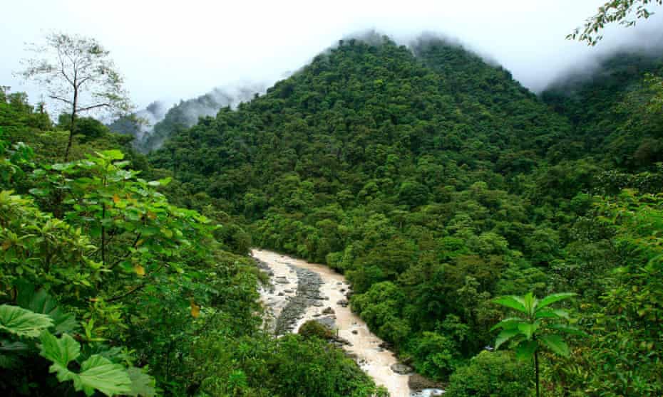 Tropical forests in Costa Rica