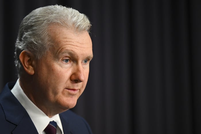 Employment minister Tony Burke