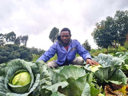 'Ajudou-me a alimentar os meus seis filhos': como o primeiro fundo de água de África apoia os agricultores a...