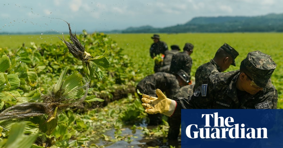 First came the dead fish, then invasive plants. A year later and Lake Suchitlán’s pollution remains a mystery