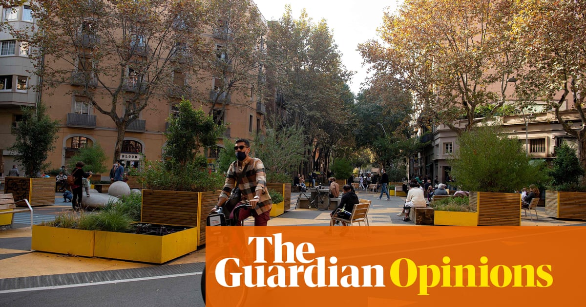 The bikelash paradox: how cycle lanes enrage some but win votes