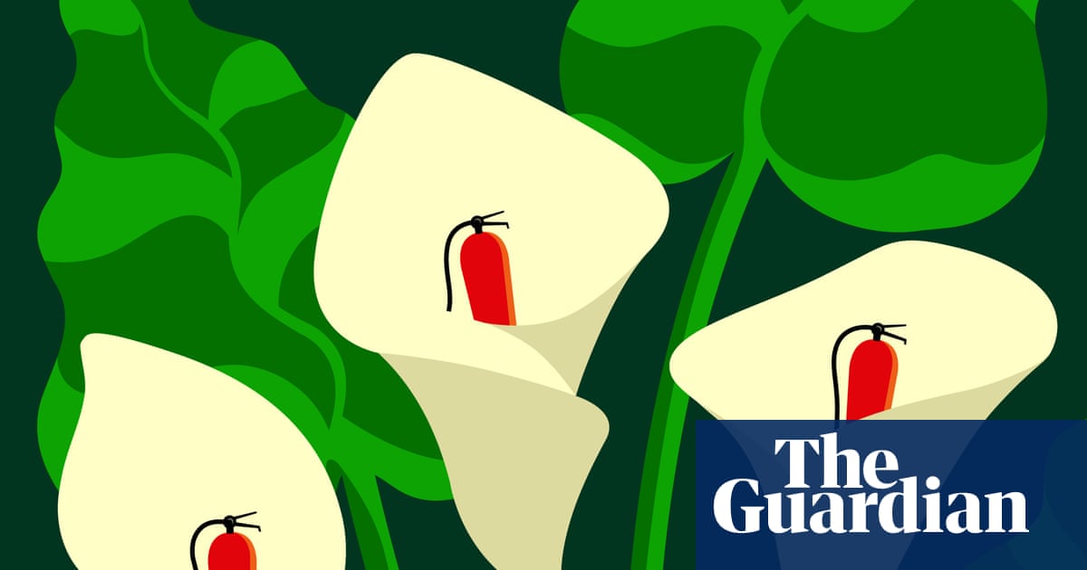 Could nature itself hold the solution to climate change?