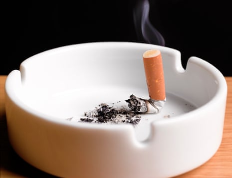 main smoke tobacco SHOP KC - Updated July 2026 - 358 Photos & 23 Reviews - 3429 Main St, Kansas City, Missouri - Shops - Phone Number Buy Rocky Patel Seed to
