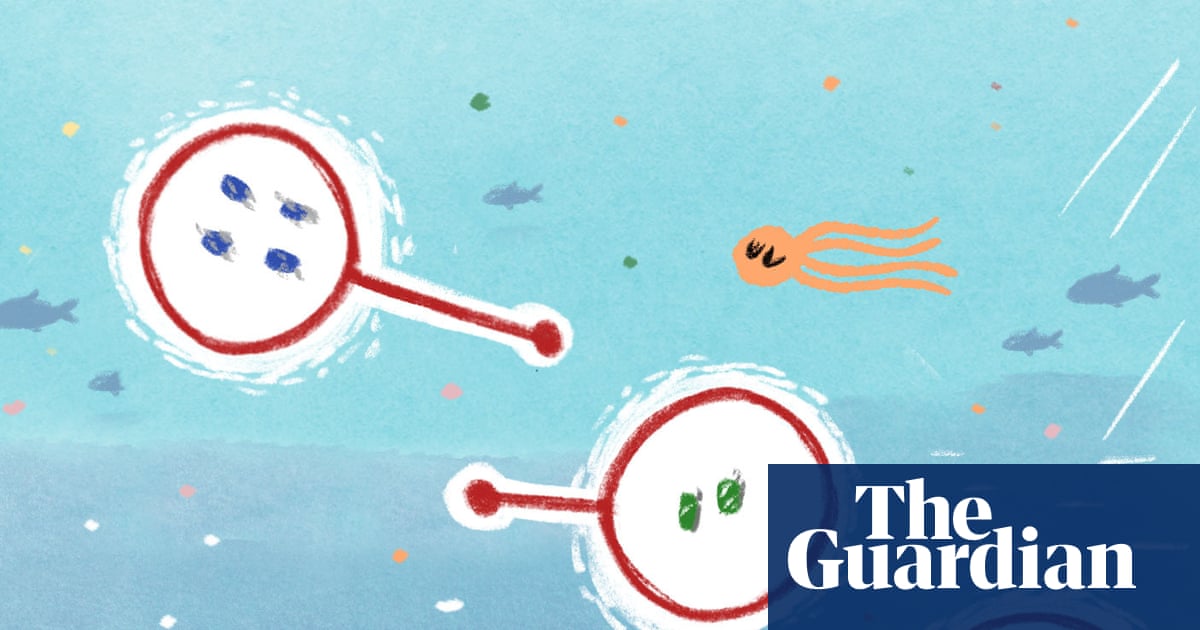 Where microplastics are going on holiday this year: the Stephen Collins cartoon