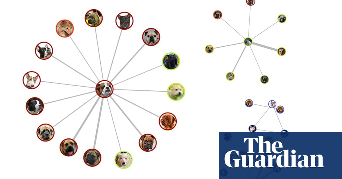 Interactive: see how your favourite dog breeds are related to each other