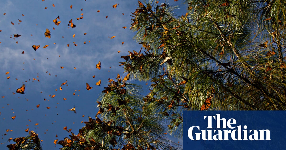 From butterflies to wind turbines, project preserves world's sonic heritage