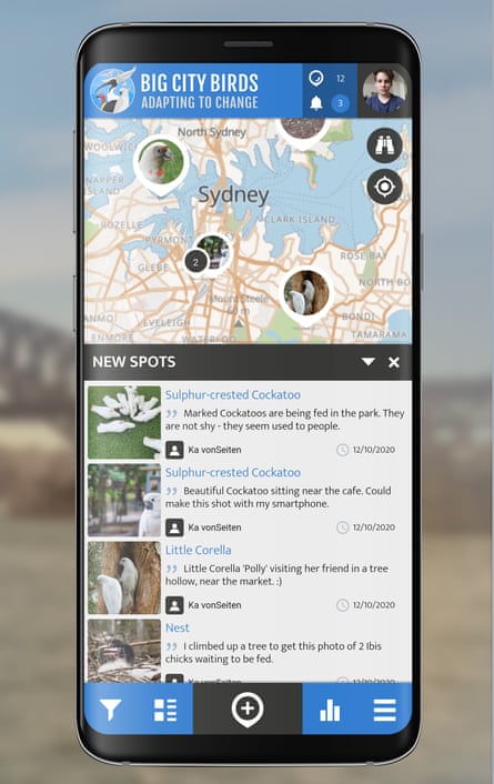 Big City Birds project. A new app has launched that will allow users to record the whereabouts of urban birds.