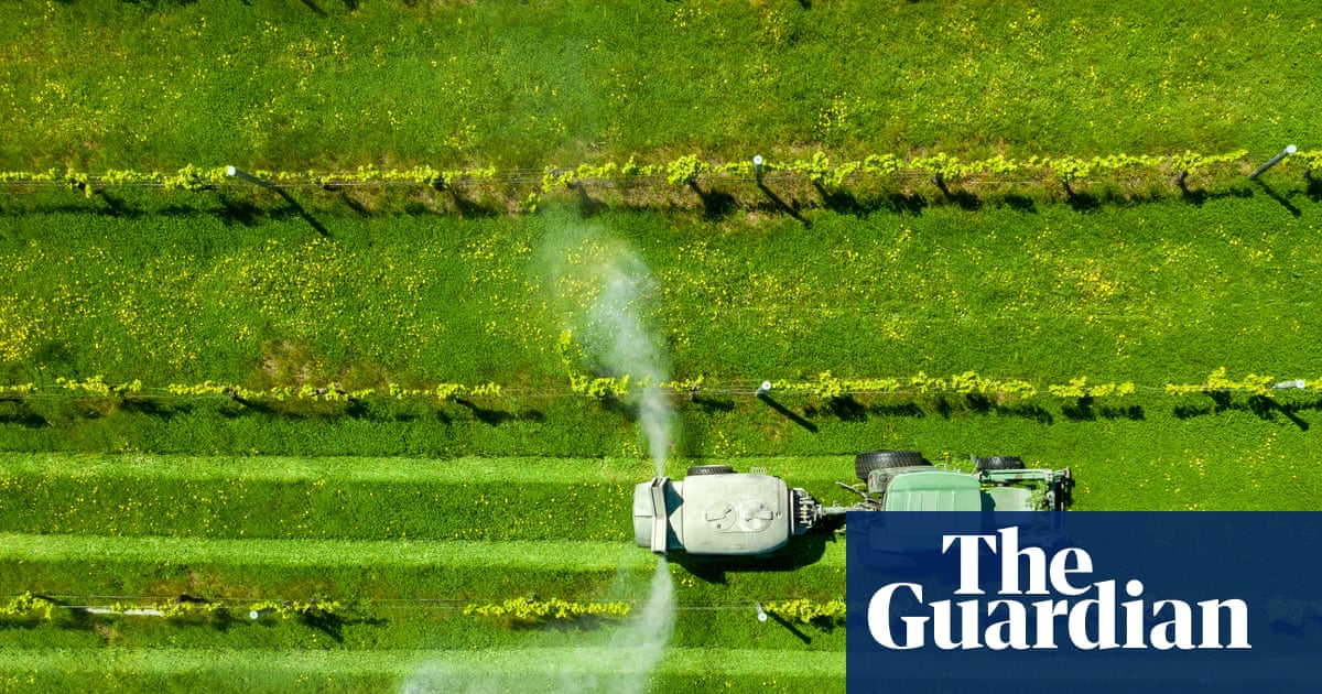 Oil-based products are everywhere, from fertiliser to fashion. What are the alternatives?