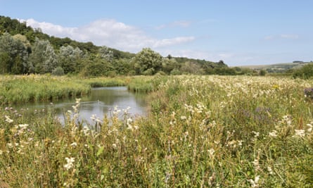 A river winds through a grassy wildflower meadow