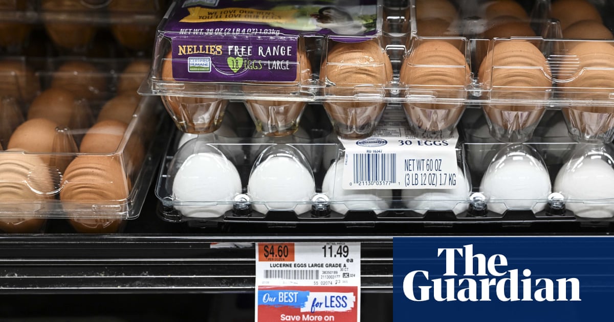 $18 a dozen: how did America’s eggs get absurdly expensive?