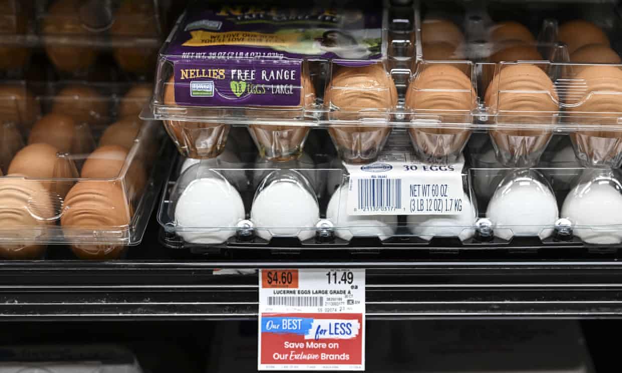 $18 a dozen: how did America’s eggs get absurdly expensive? (theguardian.com)