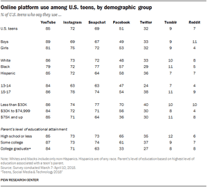 A breakdown of use by demographic group.