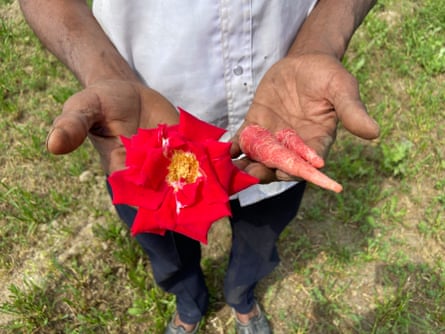 A farmer shows roses and carrots from his revived farm in Surajpura