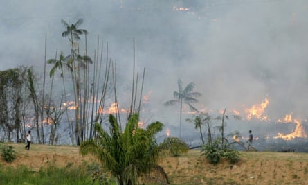 Brazilian jungle being turned into farmland by the typical slash-and-burn method.