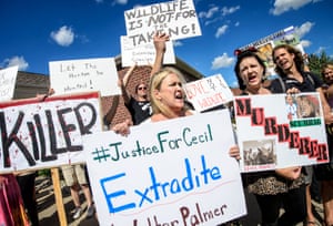<strong>Minnesota, United States<br> </strong>Protesters from Animal Rights Coalition and Minnesota Animal Liberation gather outside the dental practice run by Walter Palmer, who has been accused of illegally killing Cecil the lion in Zimbabwe