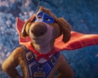 Charlie the Wonderdog review – pooch v puss caper beams Owen Wilson up from the wilderness