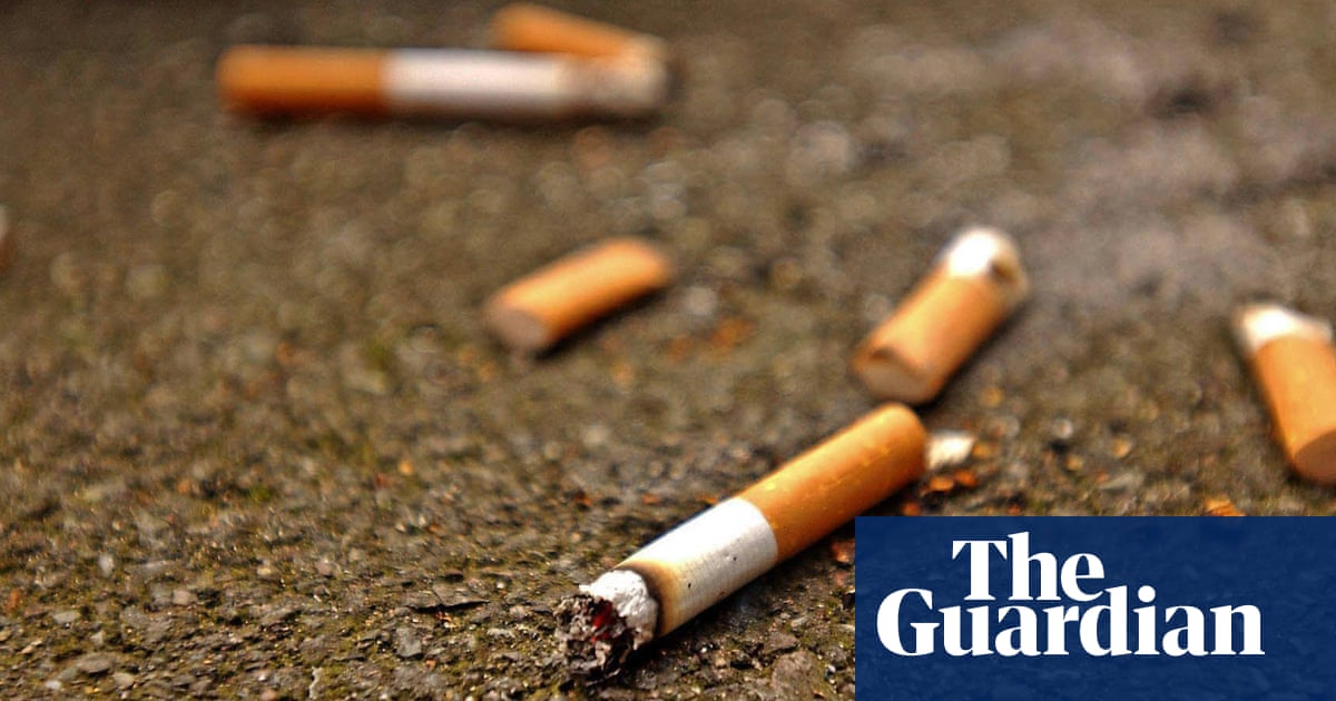 Private firms issue 86% of councils' 250,000 fines for dropping litter