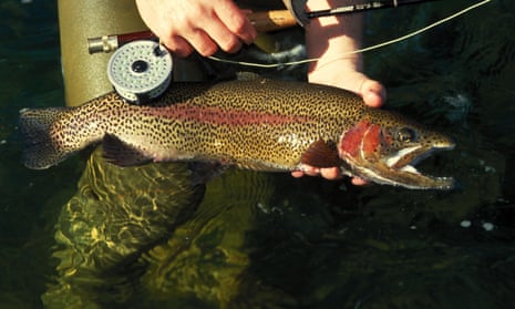 An angler with a rainbow trout.