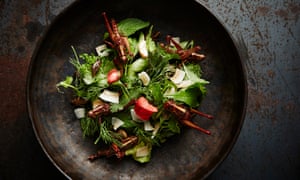 Wild greens salad with pan-fried crickets and grasshoppers.