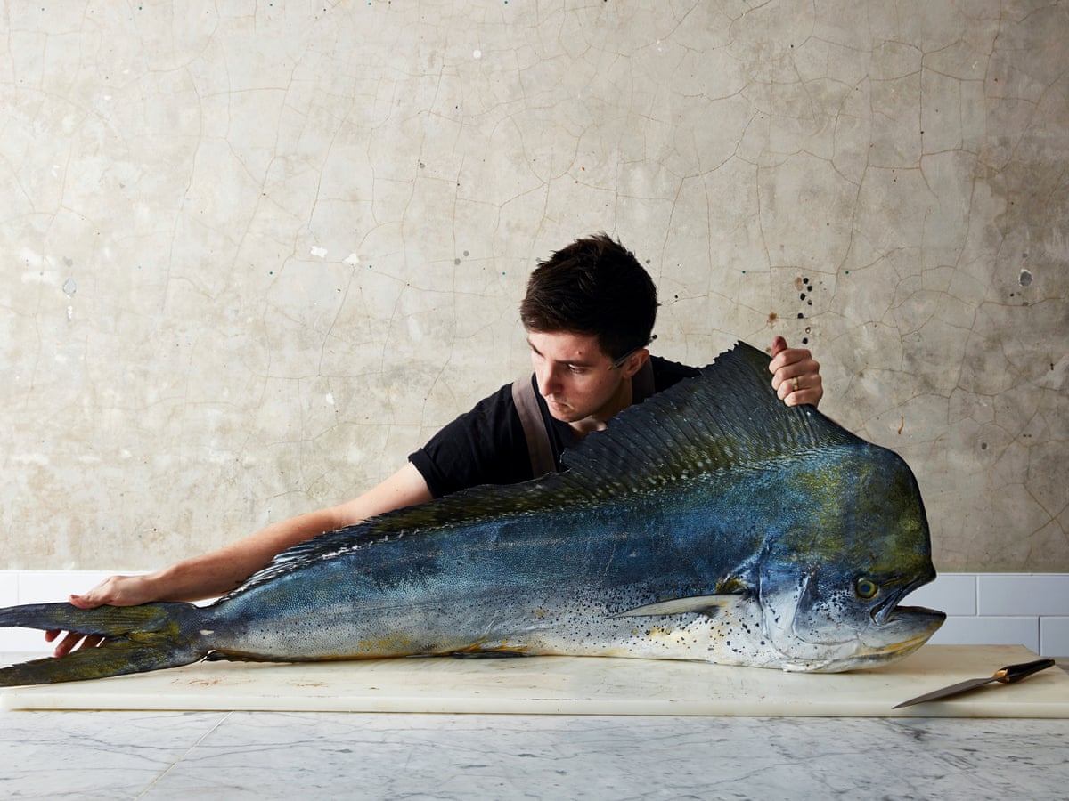 Josh Niland: meet the chef pioneering the 'nose to tail' of fish | Fish | The Guardian