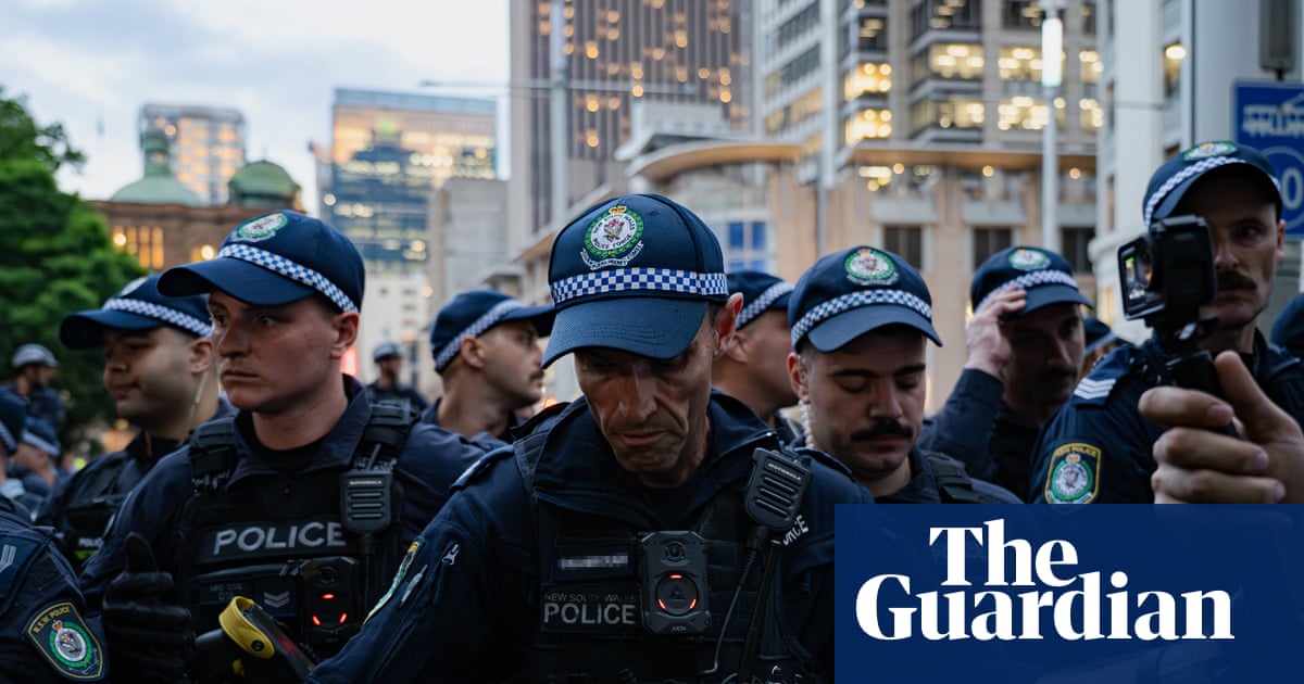 Herzog Protest Charges Dropped Amid Legal Challenges to Security Measures